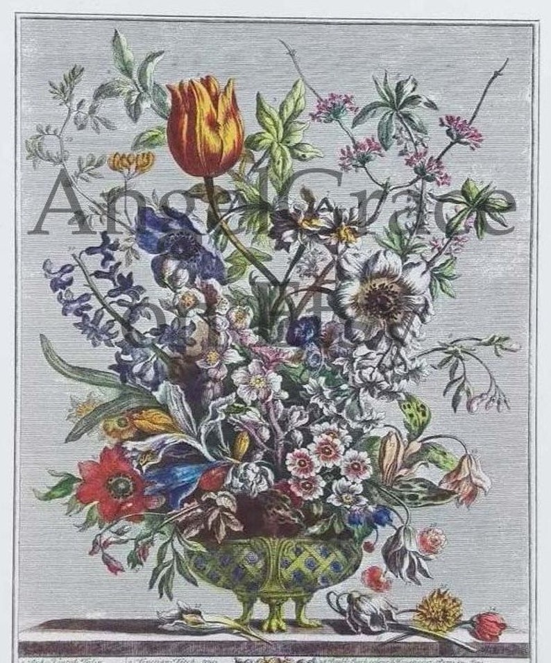 Puede incluir: Una ilustraci&oacute;n bot&aacute;nica vintage de un ramo de flores en un jarr&oacute;n verde y dorado. Las flores incluyen tulipanes, an&eacute;monas y otras flores silvestres. La ilustraci&oacute;n est&aacute; realizada en un estilo detallado y realista.