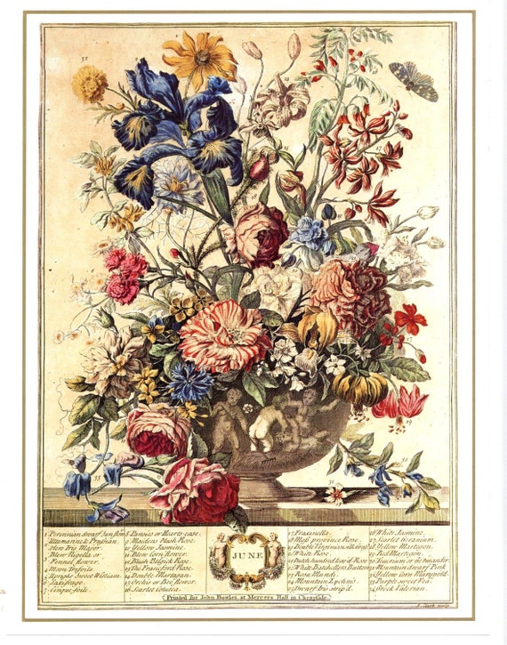 Complete Set 12 MONTH of FLOWERS Art Prints 1700s Botanical Etsy