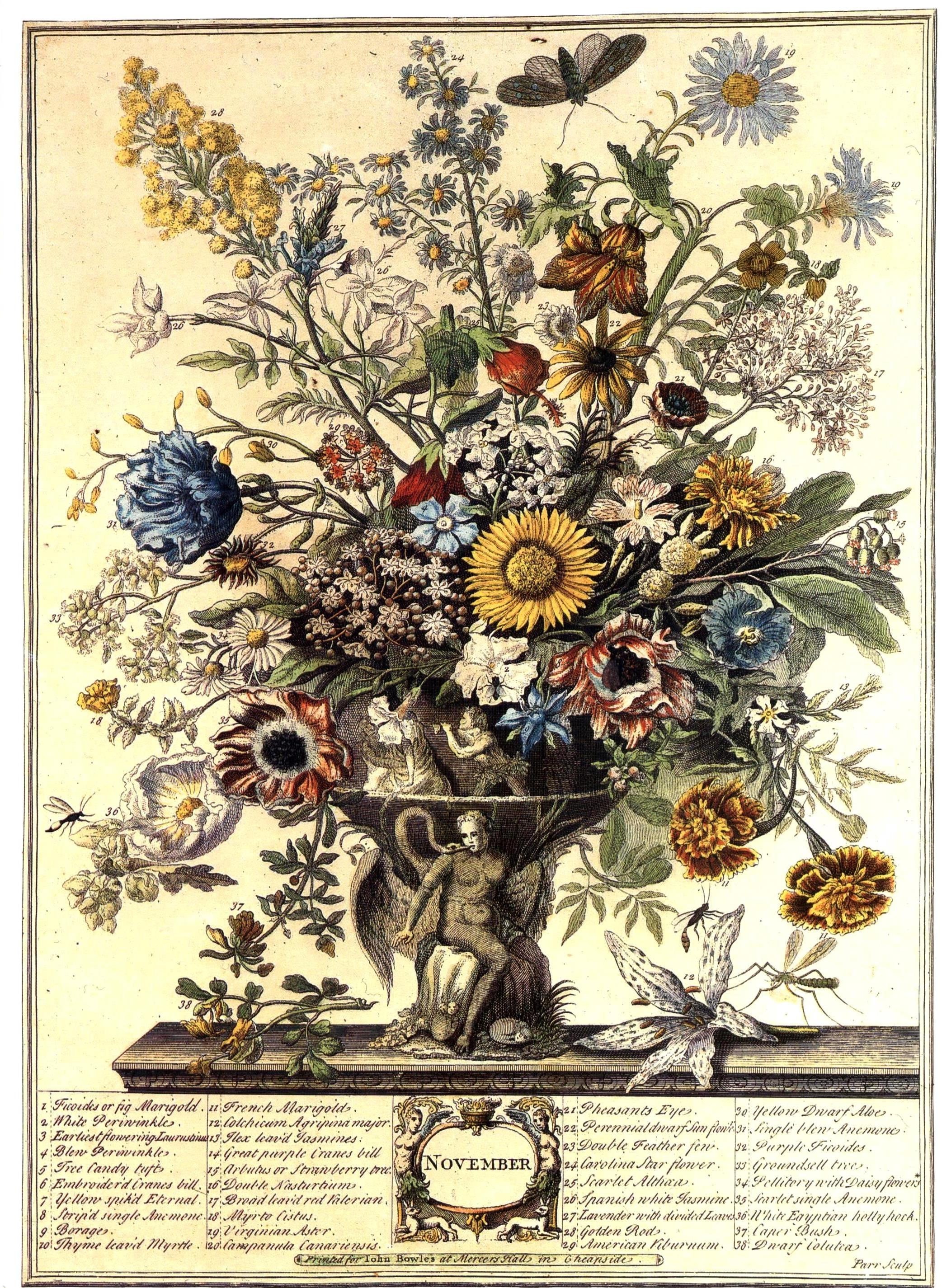 Large Vintage NOVEMBER FLOWERS Print, Winterthur Butterfly Floral