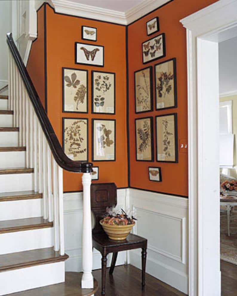 A gallery-style wall display on two corner walls next to the stairs in an entryway. The display includes black-framed botanical prints of various shapes and sizes hung in an appealing arrangement on dark orange walls. White woodwork. Dark floors.