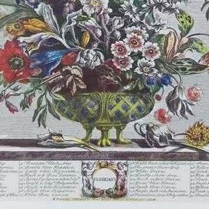 Puede incluir: Una ilustraci&oacute;n bot&aacute;nica vintage de un ramo de flores en un jarr&oacute;n verde y azul con un dise&ntilde;o floral. Las flores est&aacute;n dispuestas en un jarr&oacute;n con tres patas y est&aacute;n rodeadas de varias hojas y tallos. La ilustraci&oacute;n est&aacute; etiquetada con los nombres de las flores en lat&iacute;n e ingl&eacute;s. El texto incluye el mes de "febrero".