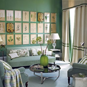 A green living room wall with a gallery-style display of twenty-four botanical prints of various leaves in thin gold metal frames hung close together in three long rows above a couch.