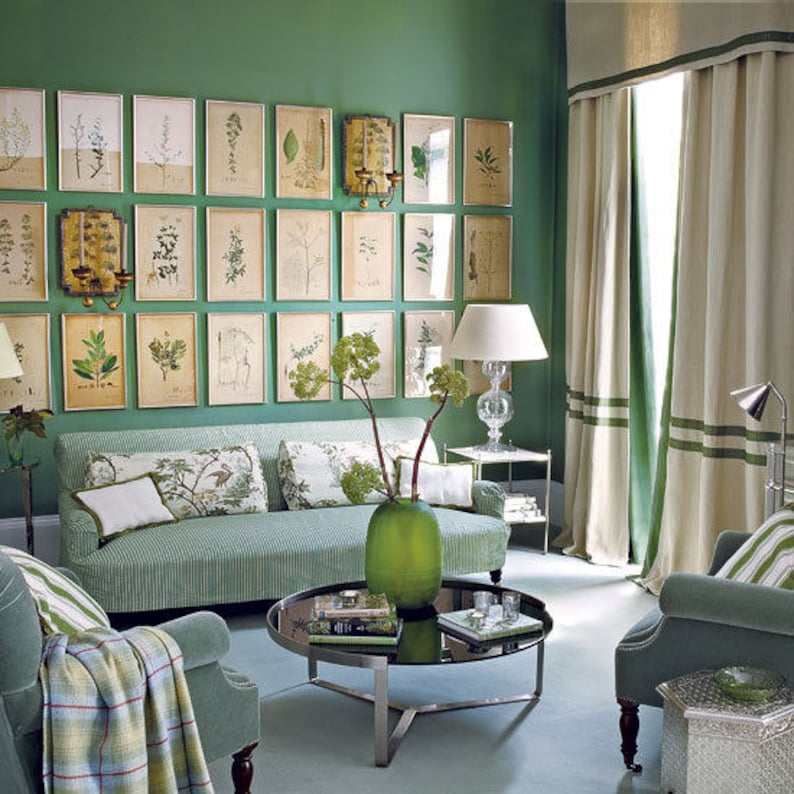 A green living room wall with a gallery-style display of twenty-four botanical prints of various leaves in thin gold metal frames hung close together in three long rows above a couch.