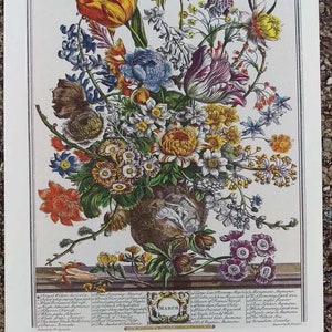 Botanical illustration of a neoclassical urn filled with a colorful arrangement of Marches blooming flowers. Below the urn is the word March encircled in a wreath with the Latin names of the flowers on both sides. Off-white borders.