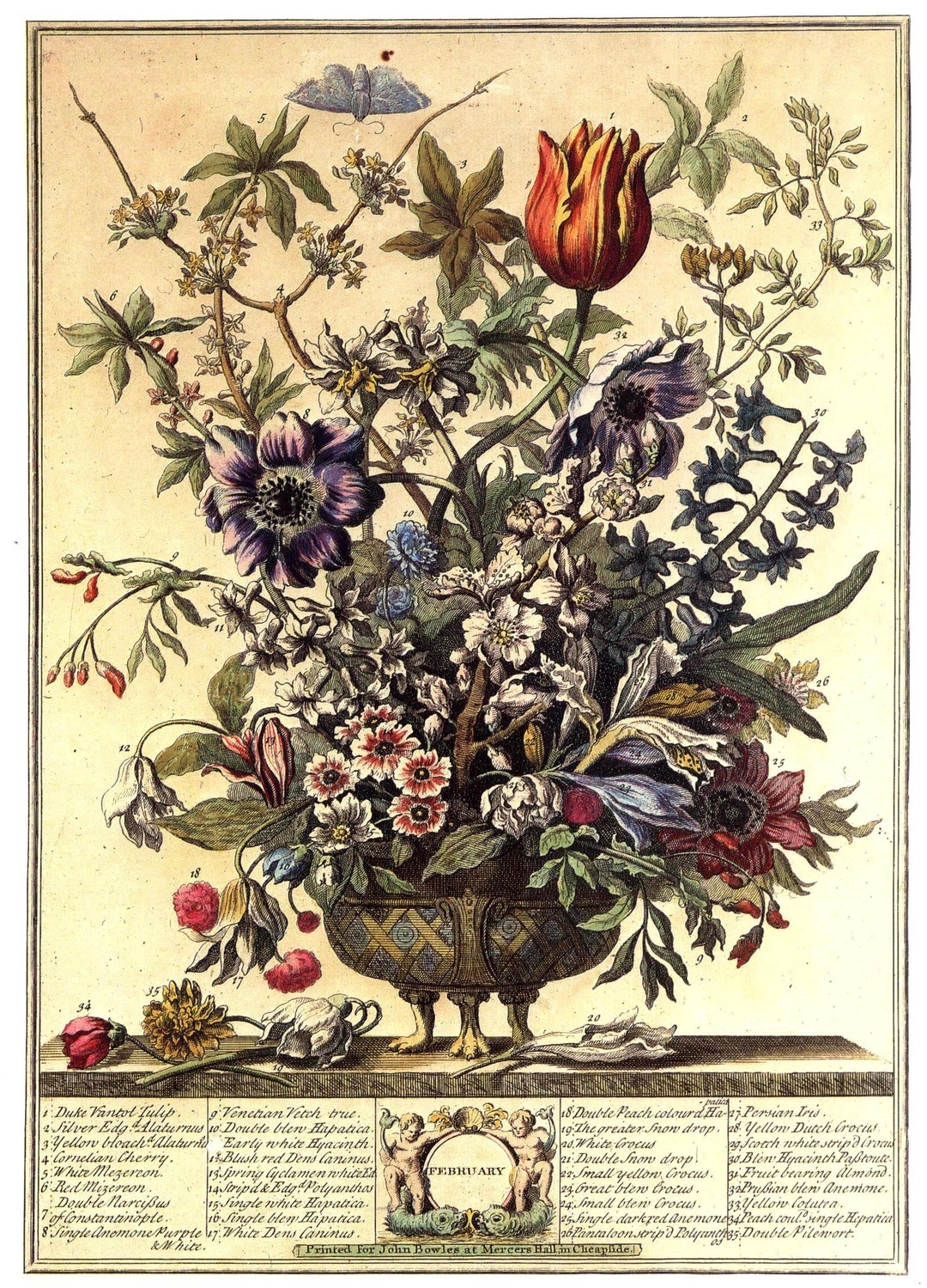 Large Vintage FEBRUARY FLOWERS Print, Winterthur Museum 1700s