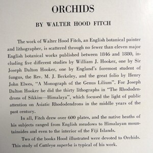 May include: A black and white text page from a book about orchids. The text discusses the work of Walter Hood Fitch, an English botanical painter and lithographer. The text mentions that Fitch illustrated over 600 plates, including five different studies by William J. Hooker, one by Sir Joseph Dalton Hooker, and one by England's foremost student of fungus, the Rev. M. J. Berkeley.