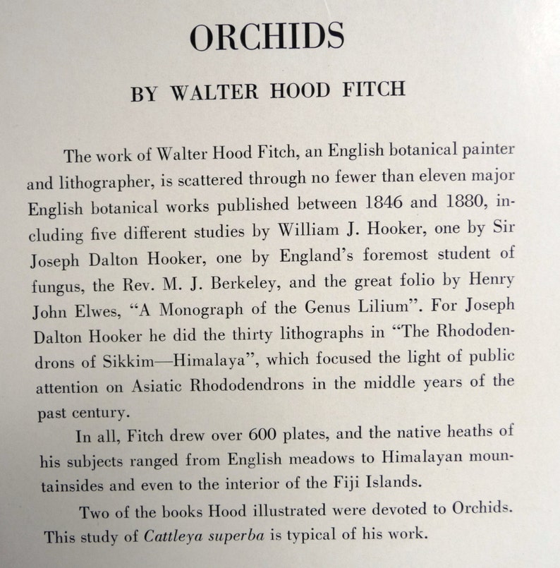 May include: A black and white text page from a book about orchids. The text discusses the work of Walter Hood Fitch, an English botanical painter and lithographer. The text mentions that Fitch illustrated over 600 plates, including five different studies by William J. Hooker, one by Sir Joseph Dalton Hooker, and one by England's foremost student of fungus, the Rev. M. J. Berkeley.