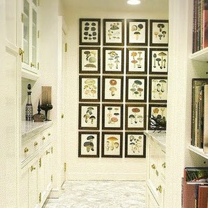 A kitchen wall with a gallery-style display of twenty black-framed botanical prints of various fungi hung close together in a grid pattern. Cream painted wall, cupboards and woodwork.