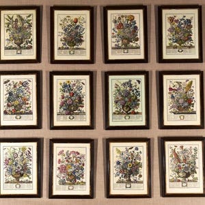 A symmetrical, gallery-style wall display with twelve black framed flower of the month prints arranged in 3 rows on a tan colored wall.