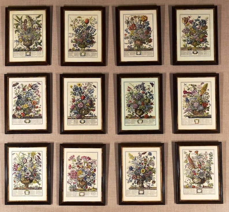 A symmetrical, gallery-style wall display with twelve black framed flower of the month prints arranged in 3 rows on a tan colored wall.