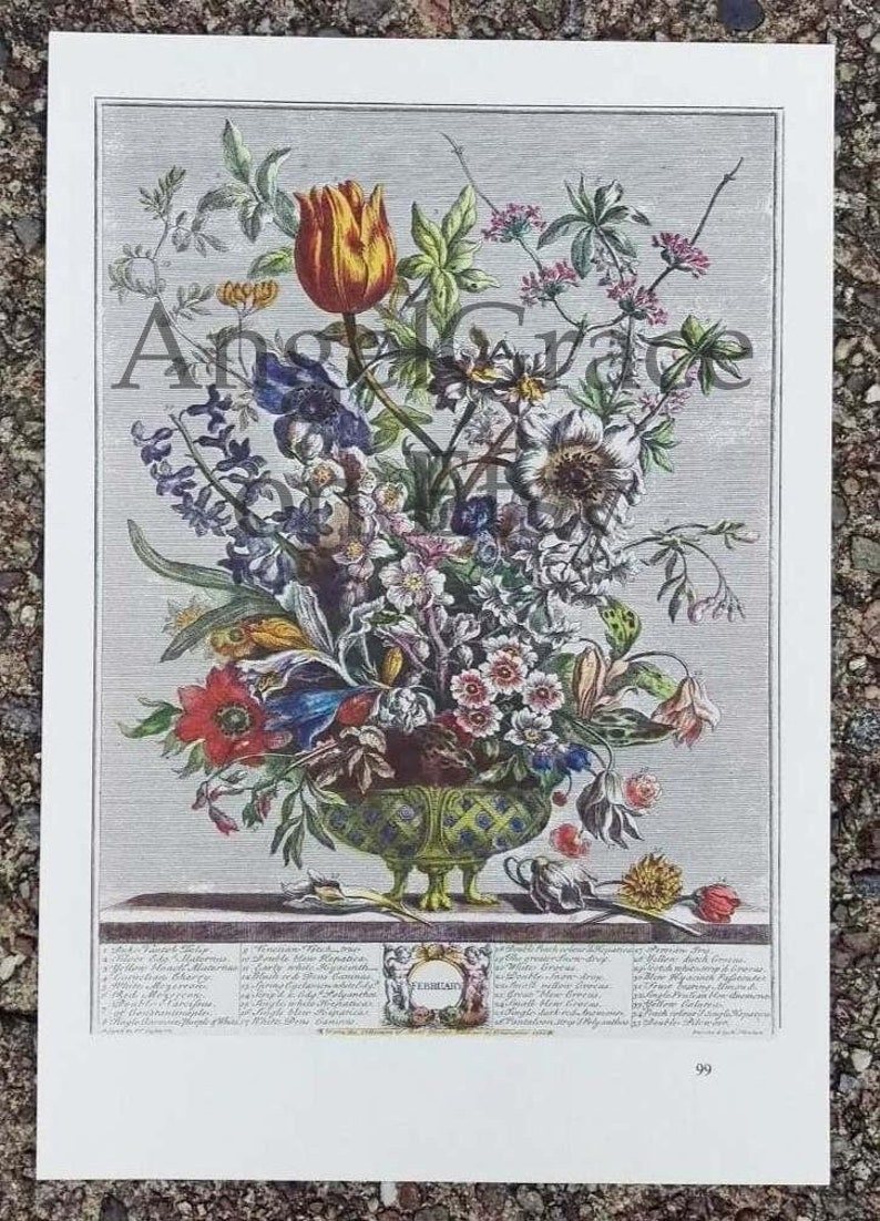 Puede incluir: Una ilustraci&oacute;n bot&aacute;nica vintage de un ramo de flores en un jarr&oacute;n verde. Las flores incluyen tulipanes, lirios, rosas y otras flores. La ilustraci&oacute;n est&aacute; etiquetada con los nombres de las flores en lat&iacute;n e ingl&eacute;s.