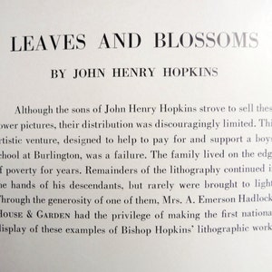 Vintage LEAVES AND BLOSSOMS Art Print, John Henry Hopkins, Nature Study, Botanical Illustration, Purple Yellow Pansies, 10 x 14 image 2