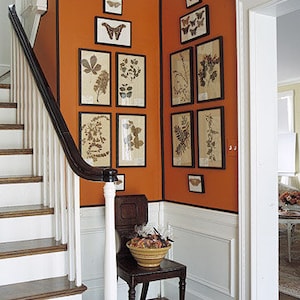 Gorgeous example of black-framed botanical prints in a symmetrical gallery-style display on two corner walls next to the stairs in an entryway. The varied-size prints are framed without mats and hung on dark orange walls. White woodwork. Dark floors.