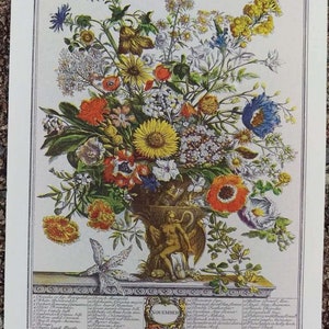 Botanical illustration of a neoclassical urn filled with a colorful arrangement of Novembers blooming flowers. Below the urn is the word November encircled in a wreath with the Latin names of the flowers on both sides. Off-white borders.