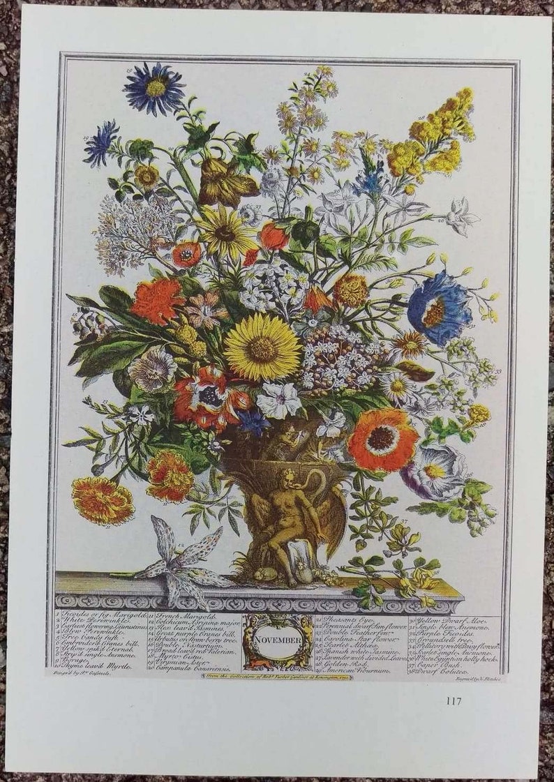 Botanical illustration of a neoclassical urn filled with a colorful arrangement of Novembers blooming flowers. Below the urn is the word November encircled in a wreath with the Latin names of the flowers on both sides. Off-white borders.