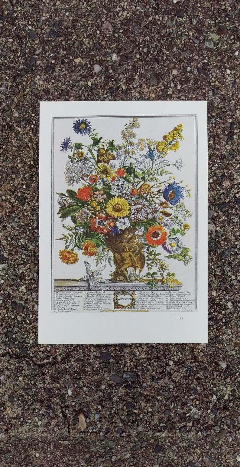 Botanical illustration of a neoclassical urn filled with a colorful arrangement of Novembers blooming flowers. Below the urn is the word November encircled in a wreath with the Latin names of the flowers on both sides. Off-white borders.