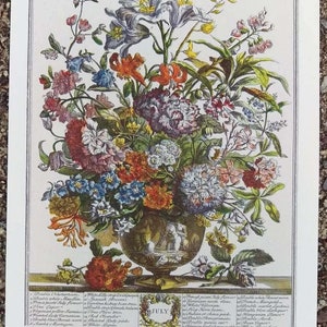 Small Vintage JULY FLOWERS Art Print, 12 Months of Flowers, Rob Furber, Colonial Williamsburg, Special Wedding Anniversary Gift, 7 x 10"