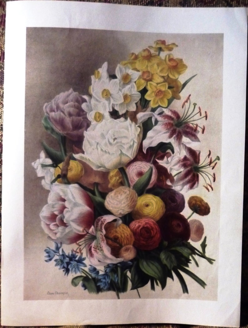 1800s SPRING FLOWERS Art Print Pink Yellow White Red Floral Etsy