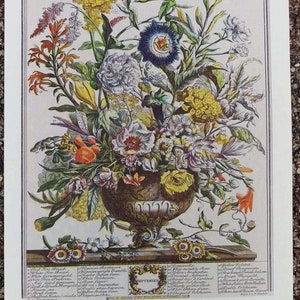 Small Vintage SEPTEMBER FLOWERS Print, 12 Months of Flowers, Rob Furber, H Fletcher, Colonial Williamsburg, Wedding Anniversary Gift, 7 x 10 画像 2