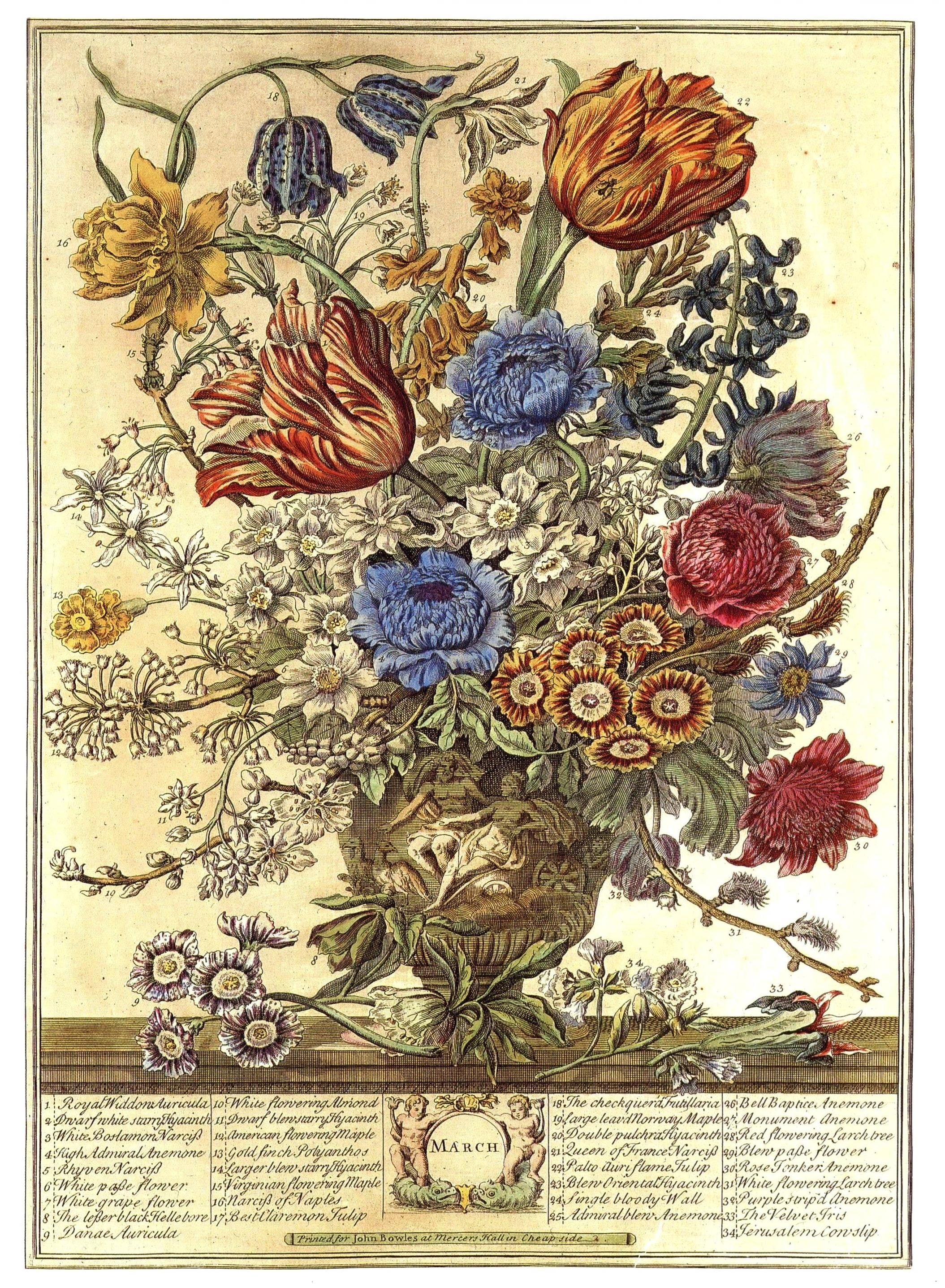 Large Vintage MARCH FLOWERS Print, Winterthur Museum 1700s
