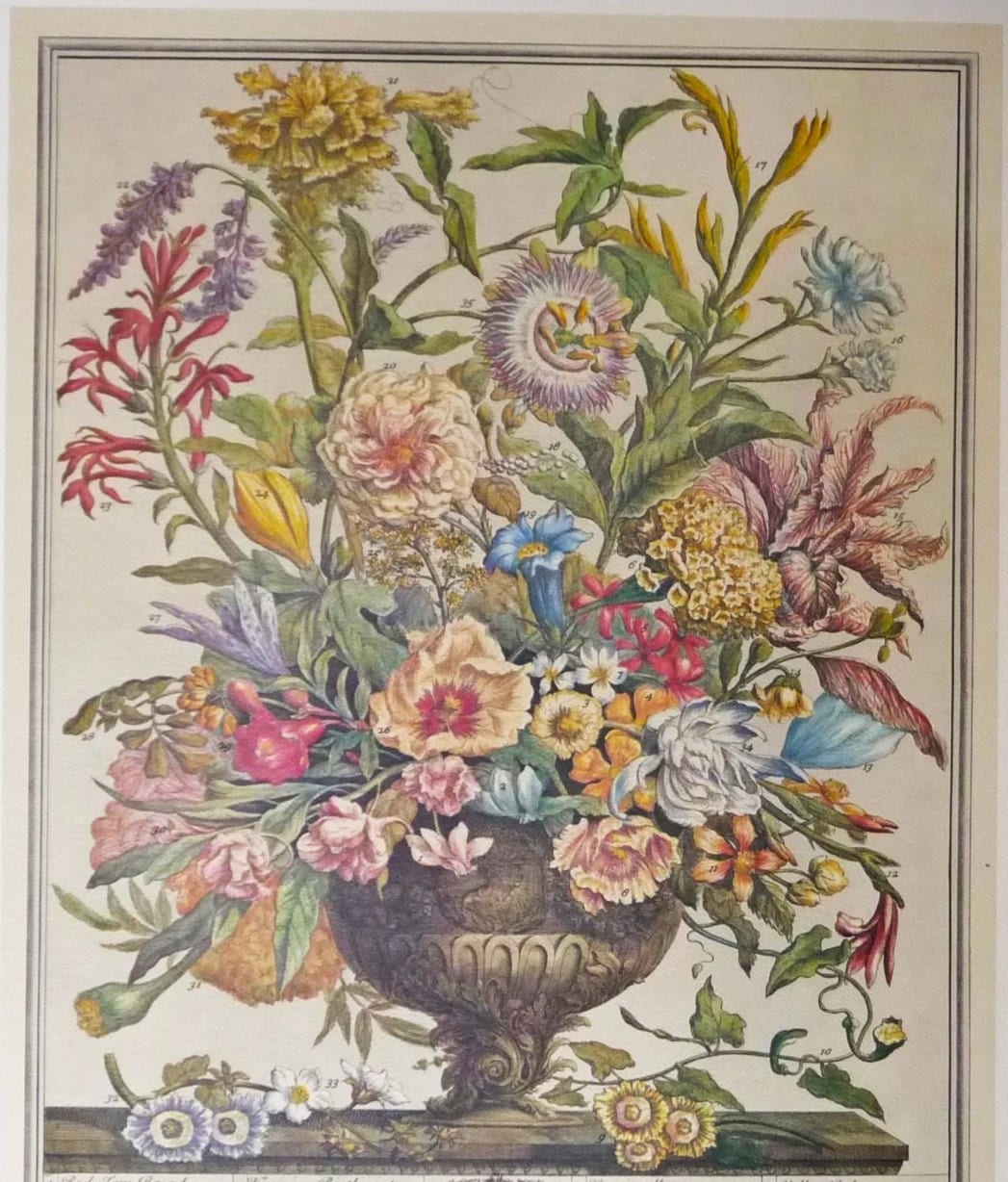 Vintage SEPTEMBER FLOWERS Large Art Print After 12 Months of