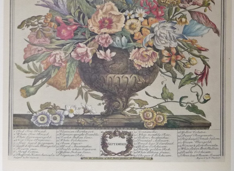 May include: A vintage botanical illustration of a bouquet of flowers in a vase. The flowers are arranged in a symmetrical pattern and include roses, carnations, and other blooms. The illustration is labeled with the names of the flowers and the month of September.