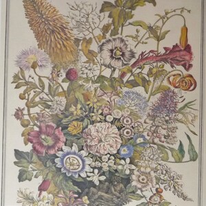 May include: A vintage botanical illustration featuring a colorful bouquet of flowers in a vase. The flowers include a variety of blooms in shades of pink, red, yellow, blue, and white. The illustration is set against a cream-colored background.