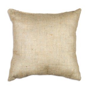 Puede incluir: Una almohada cuadrada de arpillera beige con textura tejida. La almohada est&aacute; hecha de fibras naturales y tiene un aspecto r&uacute;stico.
