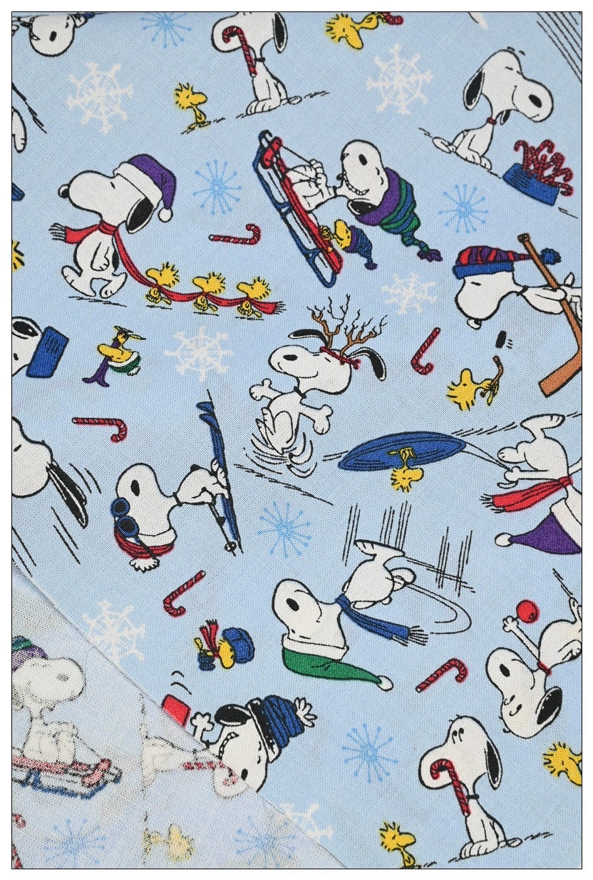 6098 - Snoopy Winter Sports Alpine Skiing Ice Skating Ice Hockey