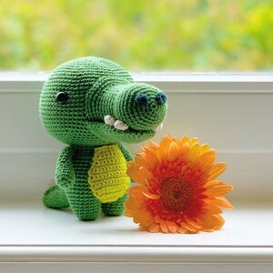 Toto the Crocodile amigurumi crochet pattern PDF image 5