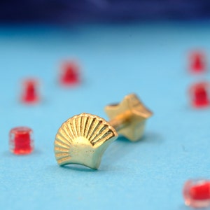 Handmade 14K Gold Shell Tragus, Tiny Gold Shell Tragus, Solid 14K Gold Sea Animal Cartilage Tragus, Dainty Gold Shell Cartilage Screwing