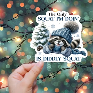 Diddly hockender Waschbär | Sticker oder Magnet | Wasserdichter Aufkleber, Kühlschrankmagnet, Laptop, Wasserflasche, Kindle, Winter, Motivation, Weihnachten