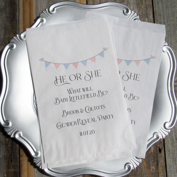 Gender Reveal Favor Bag Gender Reveal Party Favor Gender Etsy