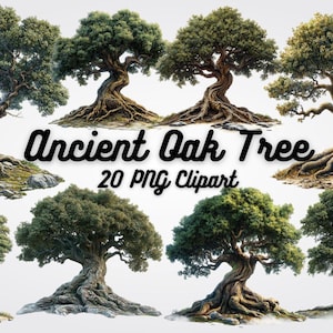 Peut inclure: Un ensemble de 20 images clipart numériques représentant des chênes anciens aux branches et aux racines noueuses. Les arbres sont isolés sur un fond blanc et sont parfaits pour ajouter une touche de nature à vos créations.