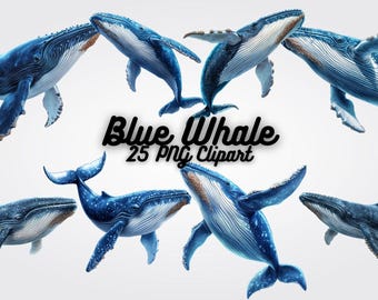 Blue Whale Clipart PNG: Watercolor Ocean Animal Graphics (Digital Download)