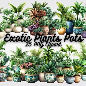 Puede incluir: Una colección de 25 imágenes de clipart digital que presentan plantas exóticas en macetas coloridas. Las plantas se representan en un estilo de acuarela e incluyen varias especies como helechos, palmeras y follaje tropical. Las macetas también son diversas, van desde terracota hasta cerámica y presentan diseños intrincados.