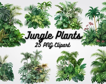 Jungle Plants Clipart: 25 Tropical PNG Images (Commercial Use)