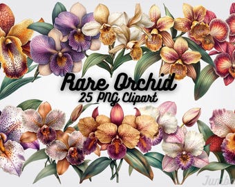 Rare Orchid Clipart: High-Res Exotic Flower PNGs (12x12")