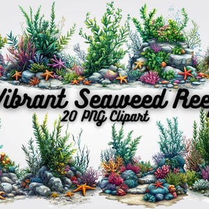 Seaweed Reef Clipart: Underwater Coral PNG Illustrations (Digital Download)
