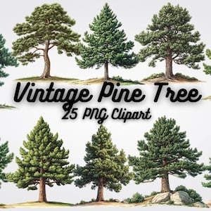 Puede incluir: Ilustraciones de estilo vintage de pinos en varias formas. Los árboles presentan follaje detallado y troncos marrones, sobre un fondo neutro. Se muestra el texto "Vintage Pine Tree 25 PNG Clipart".