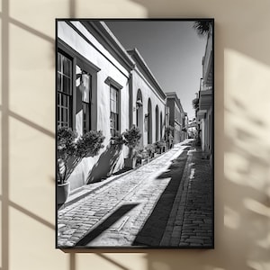 Peut inclure: Impression en noir et blanc encadrée d'une rue pavée étroite bordée de bâtiments. Les bâtiments ont des portes et des fenêtres cintrées. Des plantes en pot sont placées à l'extérieur des bâtiments.