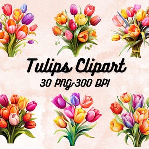 30 Watercolor Tulips Clipart, Spring Flower, Floral Bouquet, Tulips Illustrations , Instant Download for Commercial Use
