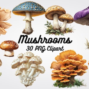 30 Pilze Clipart, hochwertige PNG-Bilder - Perfekt für Einladungen, Naturdrucke, Walddekor und digitale Projekte