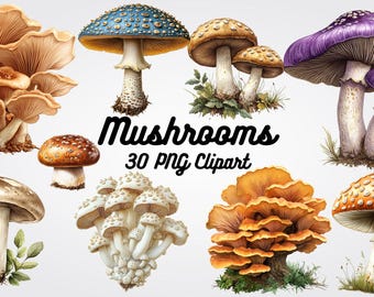 Mushroom Clipart, 30 PNG Forest Illustrations (Digital Download)