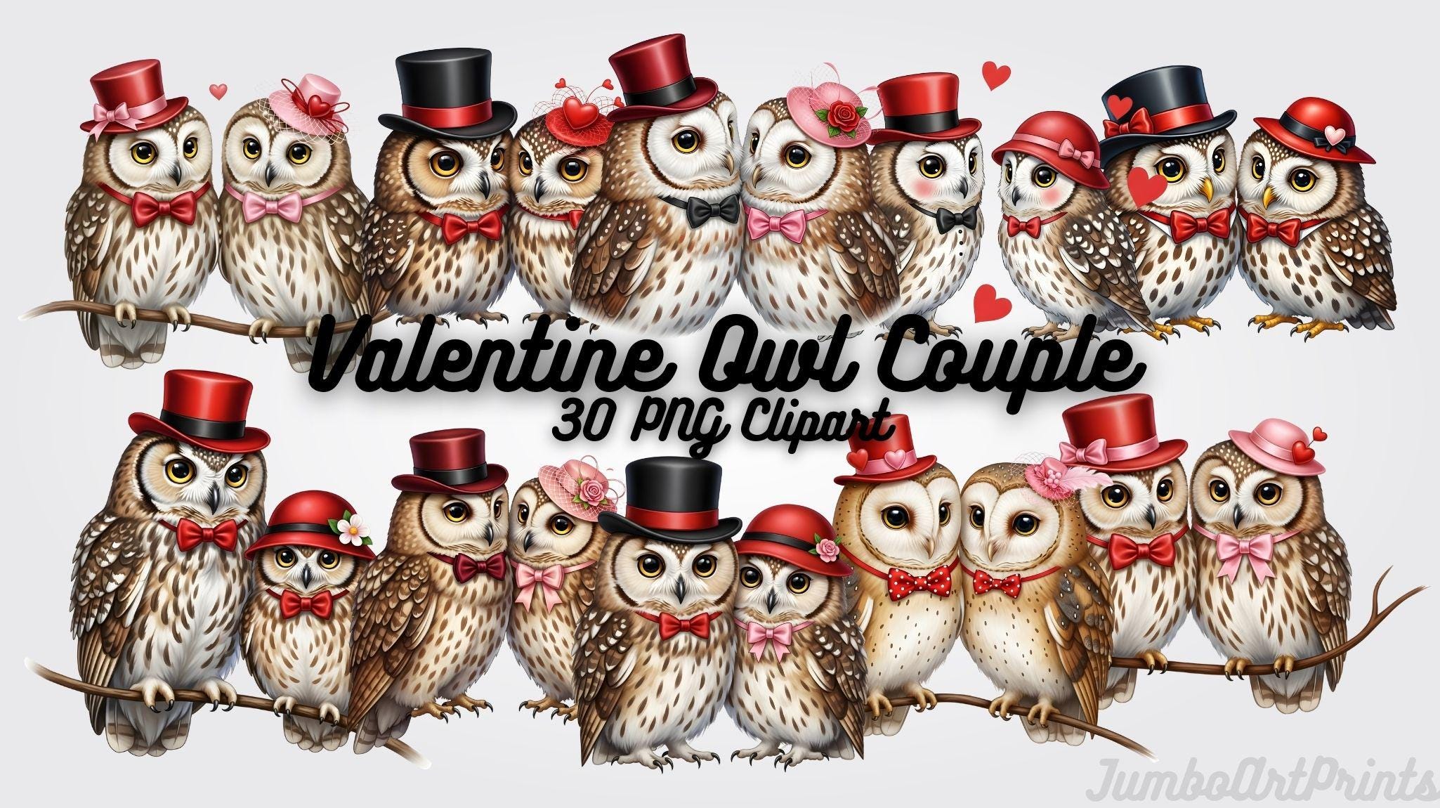Valentine Owl Couple Clipart &ndash; Romantic Animal PNG Art (Digital Download)