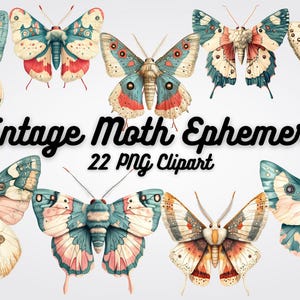 Vintage Moth Clipart: 22 Pastel PNG Images (Scrapbooking, Invitations)