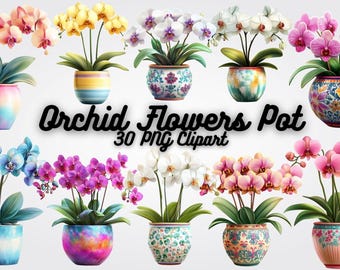 Akvarell krukväxtorkidé Clipart, blommiga PNG-illustrationer (digital nedladdning)