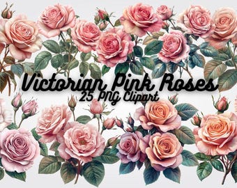 Victorian Pink Roses Clipart: 25 PNG Floral Illustrations (Digital Download