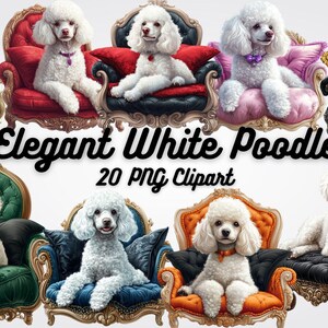 20 Elegant White Poodle Clipart, Dog Clipart,High-Quality PNG Images of White Poodles on Elegant Chairs  Invitations, Prints & Decor