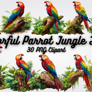 Tropical Parrot Clipart: Jungle Bird PNGs for Sublimation & Wall Art (Digital Download
